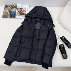 LV Down Coat